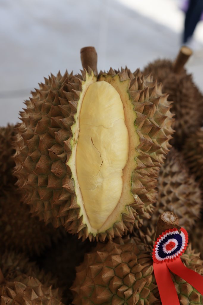 รูปภาพนี้มี Alt แอตทริบิวต์เป็นค่าว่าง ชื่อไฟล์คือ 2B3A9686-Copy-683x1024.jpg