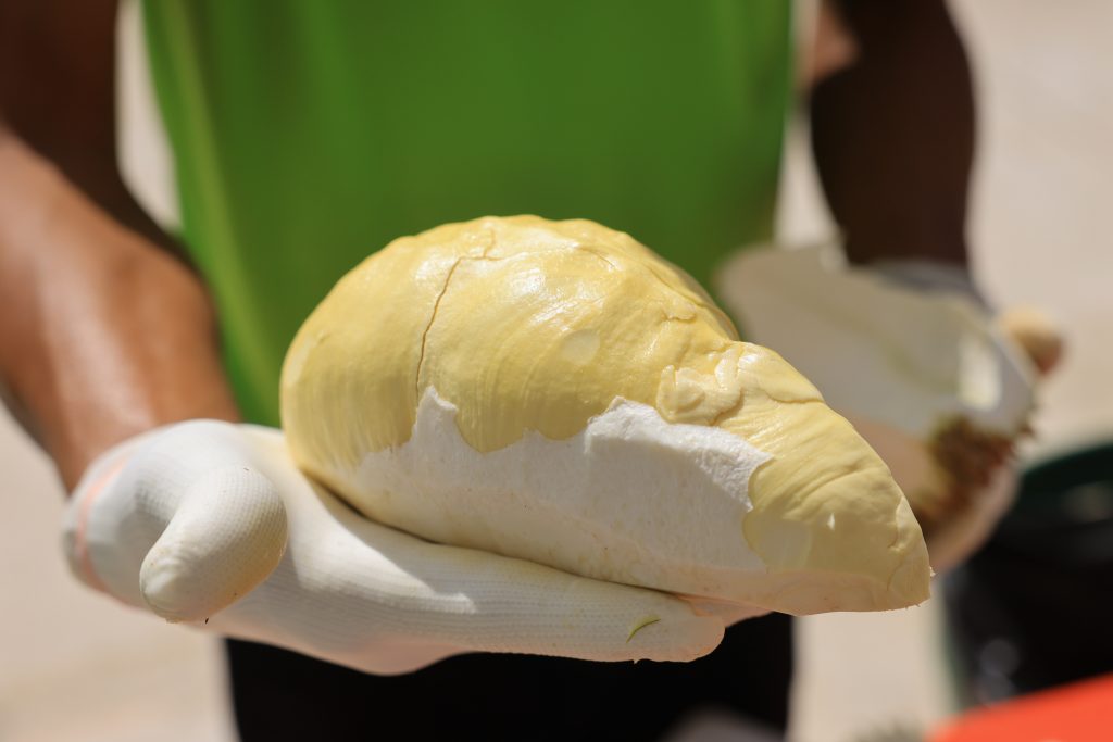 รูปภาพนี้มี Alt แอตทริบิวต์เป็นค่าว่าง ชื่อไฟล์คือ 2B3A9846-1024x683.jpg